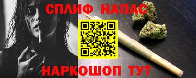 прущие грибы Ачхой-Мартан