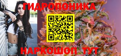 прущие грибы Ачхой-Мартан