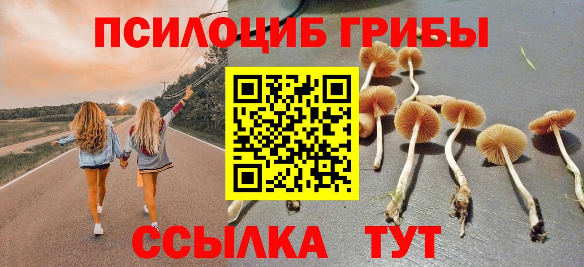 Галлюциногенные грибы ЛСД  Вход с VPN  Сергиев Посад 